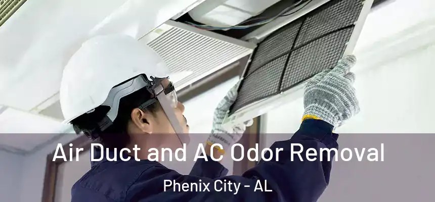 Air Duct and AC Odor Removal Phenix City - AL