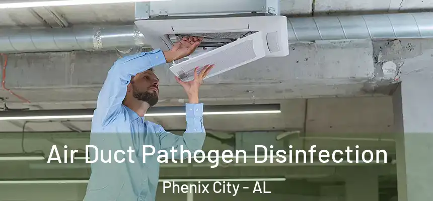  Air Duct Pathogen Disinfection Phenix City - AL