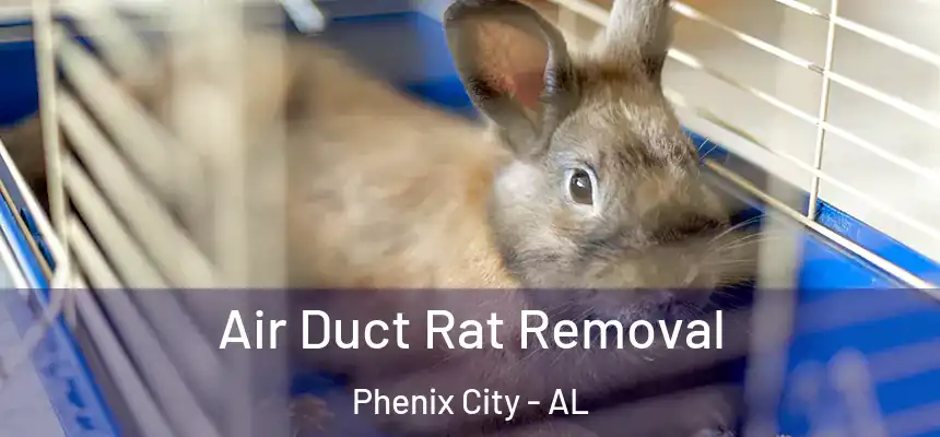  Air Duct Rat Removal Phenix City - AL