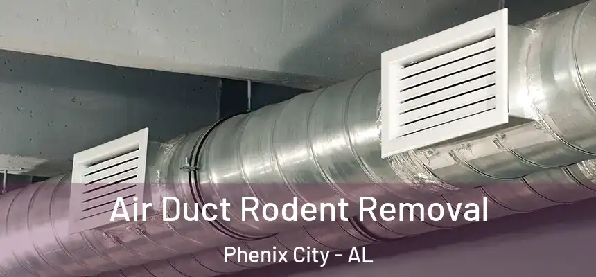  Air Duct Rodent Removal Phenix City - AL