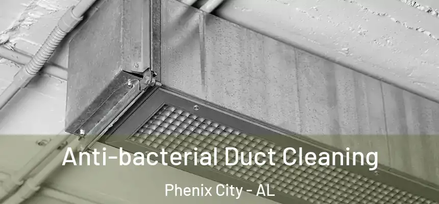  Anti-bacterial Duct Cleaning Phenix City - AL