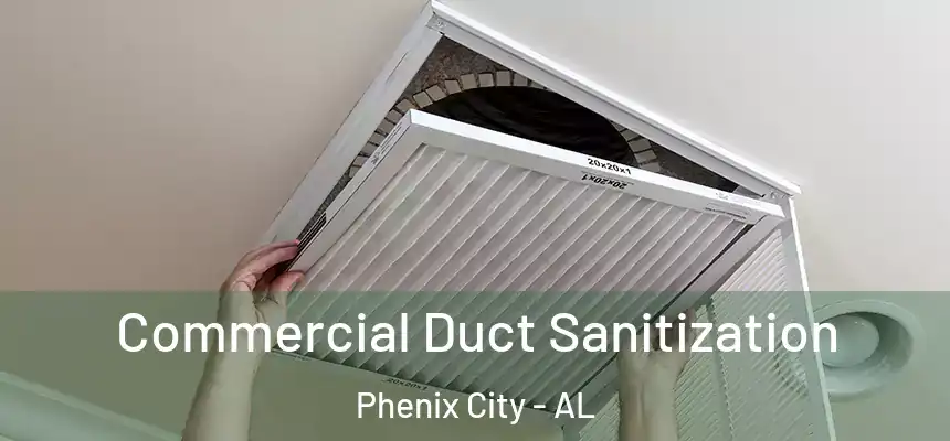  Commercial Duct Sanitization Phenix City - AL