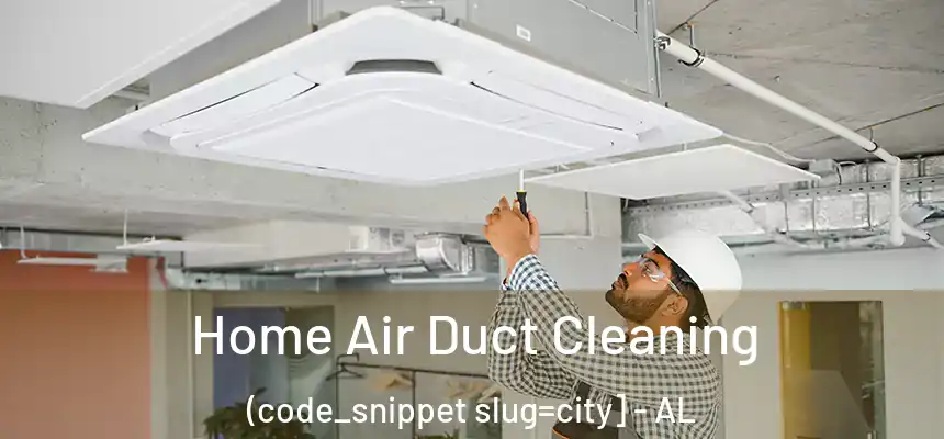  Home Air Duct Cleaning (code_snippet slug=city] - AL