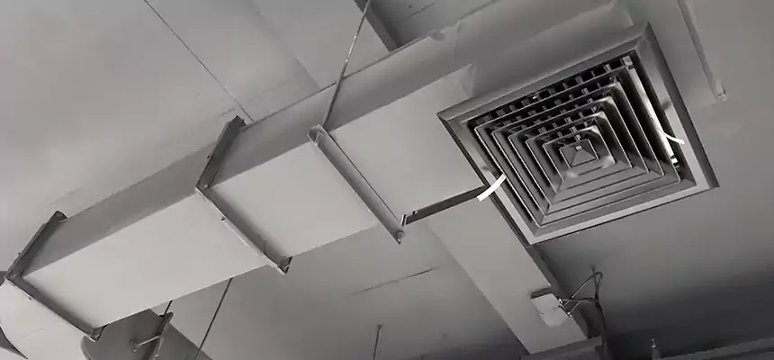 Restorative Allergy Relief Vent Cleaning – Coil, Blower & Housing Detail in Phenix City