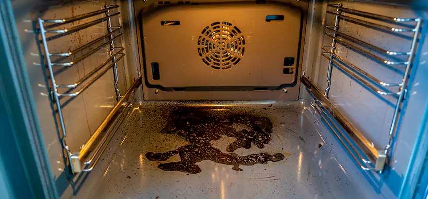 Our Dryer Vent Mold Cleaning Services in Phenix City, AL