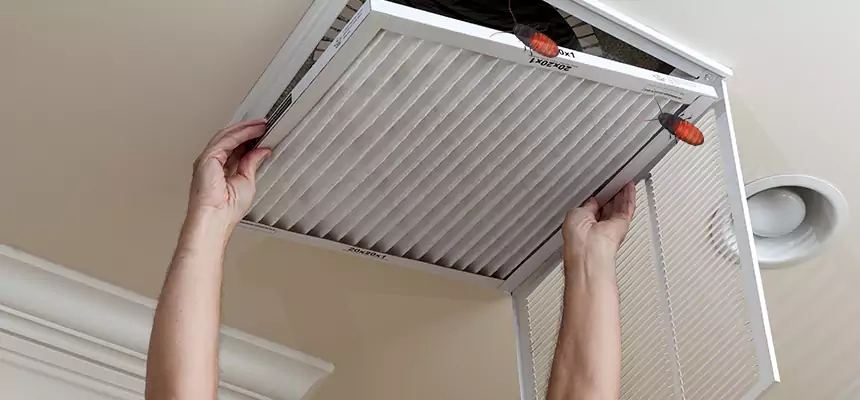 Our Insect Removal from Air Ducts Services in Phenix City, AL
