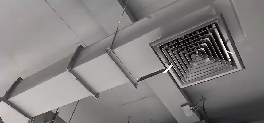 Our Pest Removal From Ducts Services in Phenix City, AL