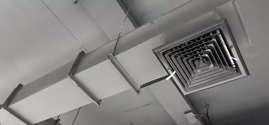 Our Rodent Droppings In Vents Services in Phenix City, AL