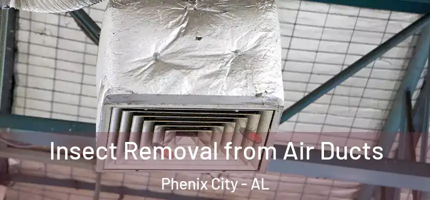  Insect Removal from Air Ducts Phenix City - AL