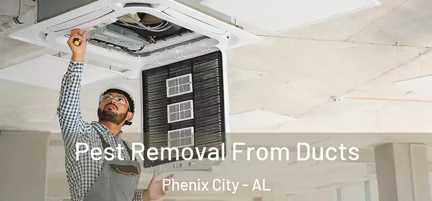  Pest Removal From Ducts Phenix City - AL