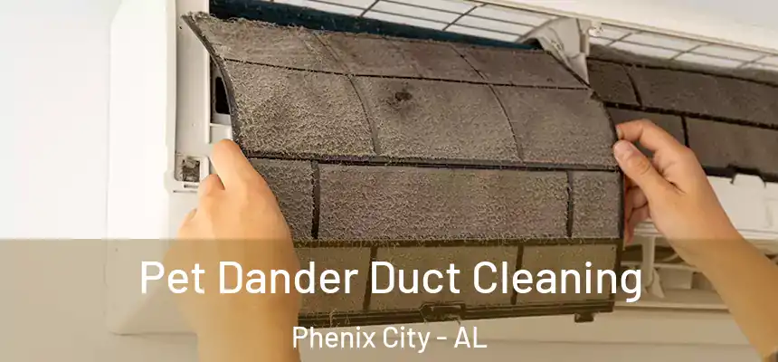  Pet Dander Duct Cleaning Phenix City - AL