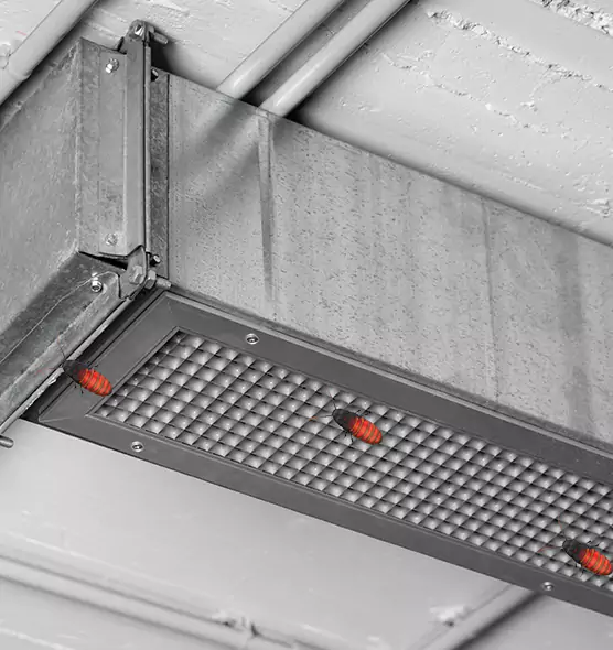 About Air Duct Cockroach Removal in Phenix City, AL