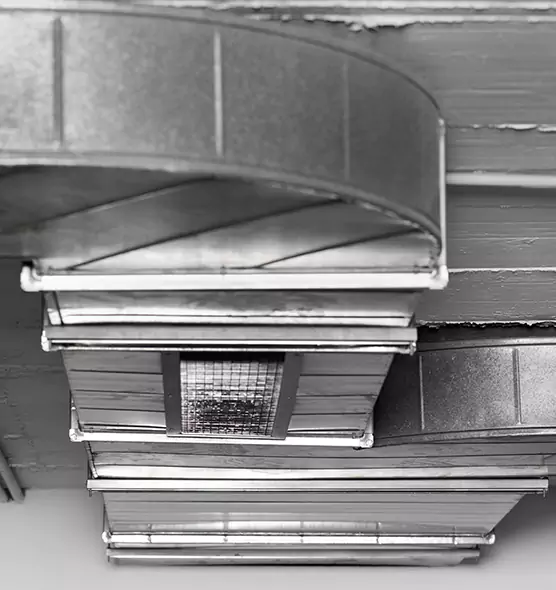 Professional Air Duct Pet Hair Removal in Phenix City, AL