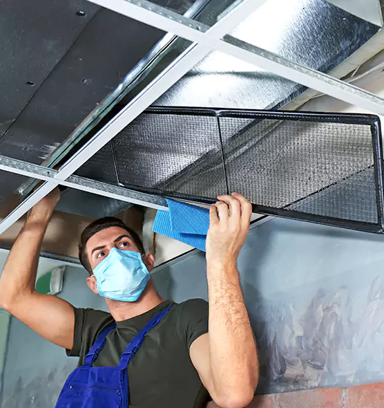 Professional Air Duct Pollen Cleaning in Phenix City, AL
