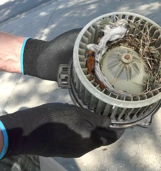 About Air Duct Rat Removal in Phenix City, AL