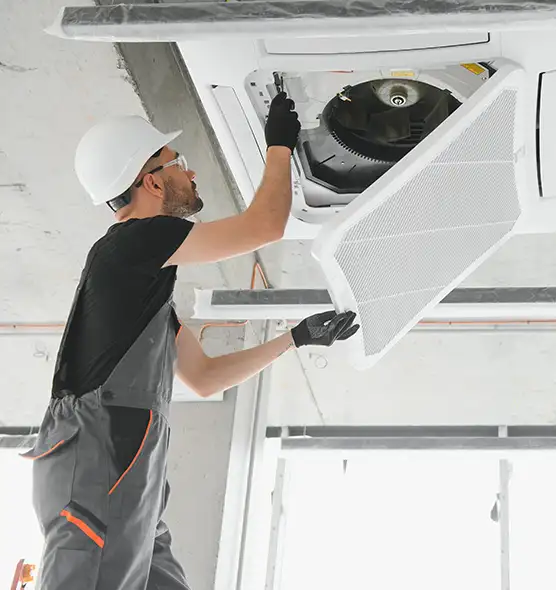 About Air Duct Rodent Removal in Phenix City, AL