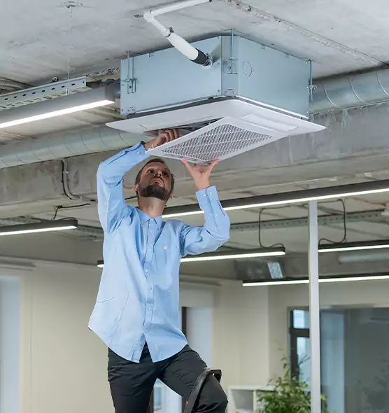 Advanced Rodent Droppings In Vents in Phenix City, AL