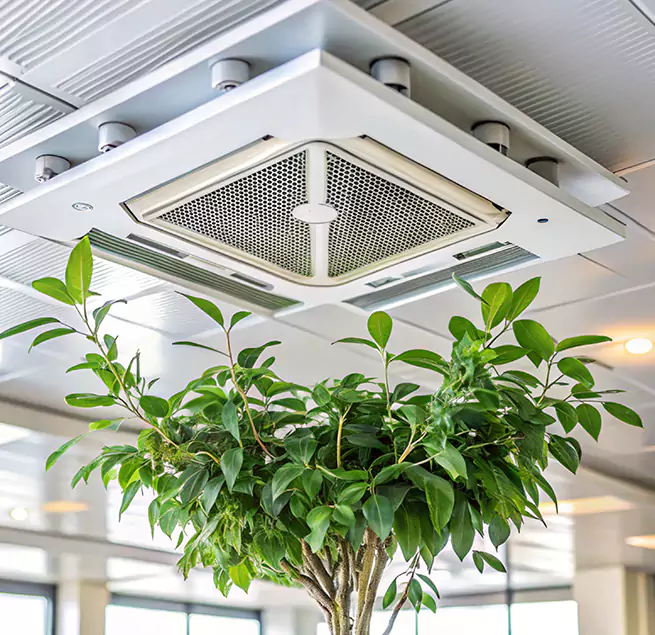 Why Homeowners & Businesses Trust Us in Phenix City, AL?