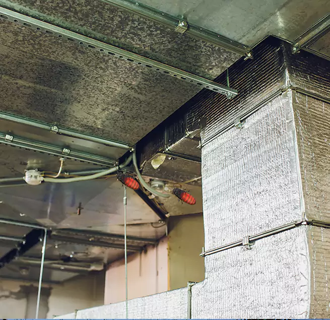 Why Homeowners & Businesses Trust Us Phenix City, AL?