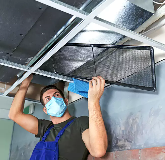 Why Homeowners Businesses Trust Us in Phenix City, AL